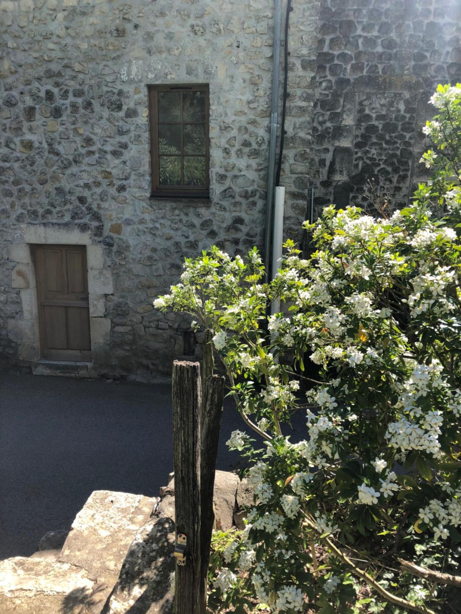 Gite Des Pins Saint-Maurice-dʼIbie 외부 사진