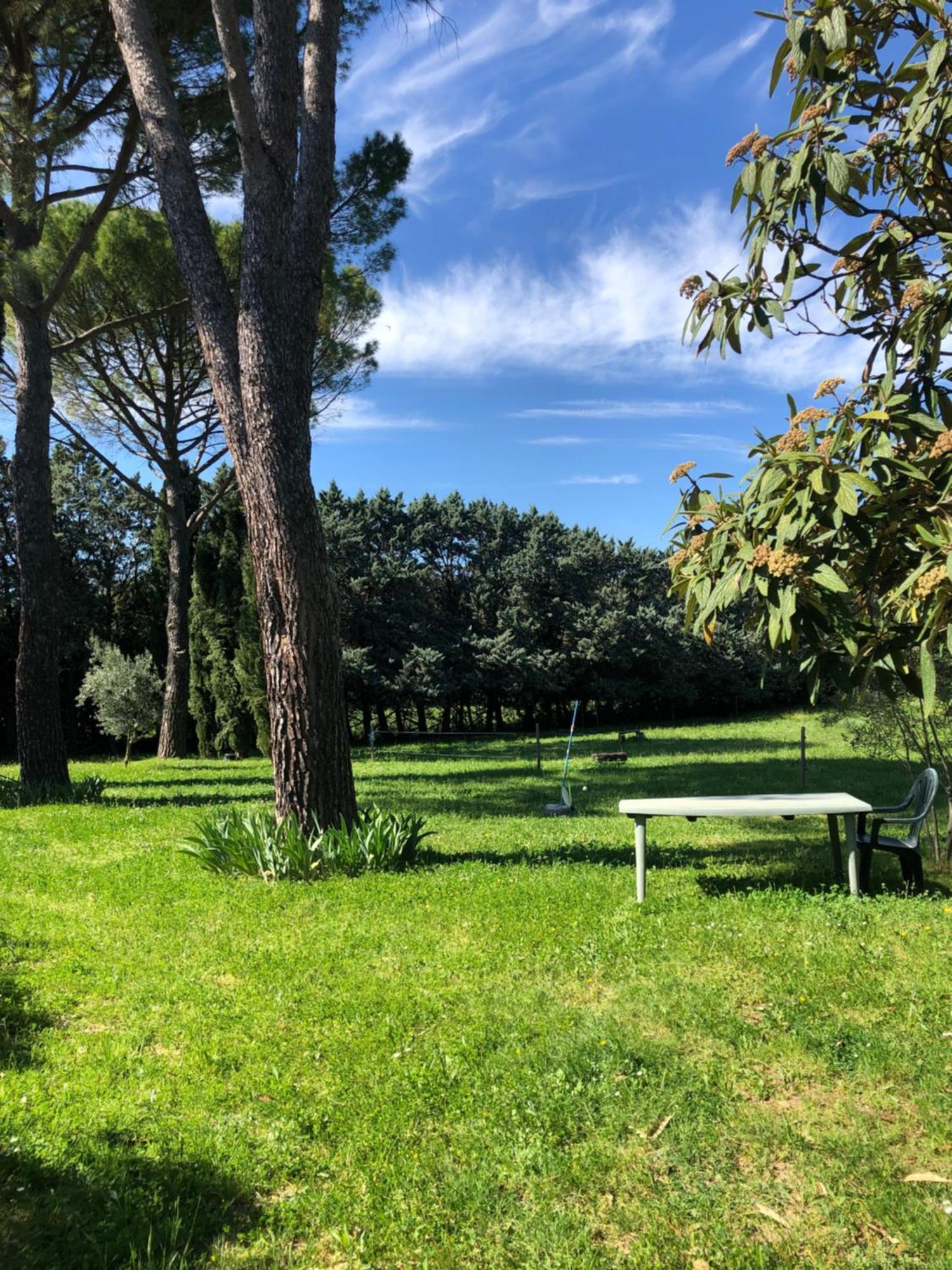 Gite Des Pins Saint-Maurice-dʼIbie 외부 사진