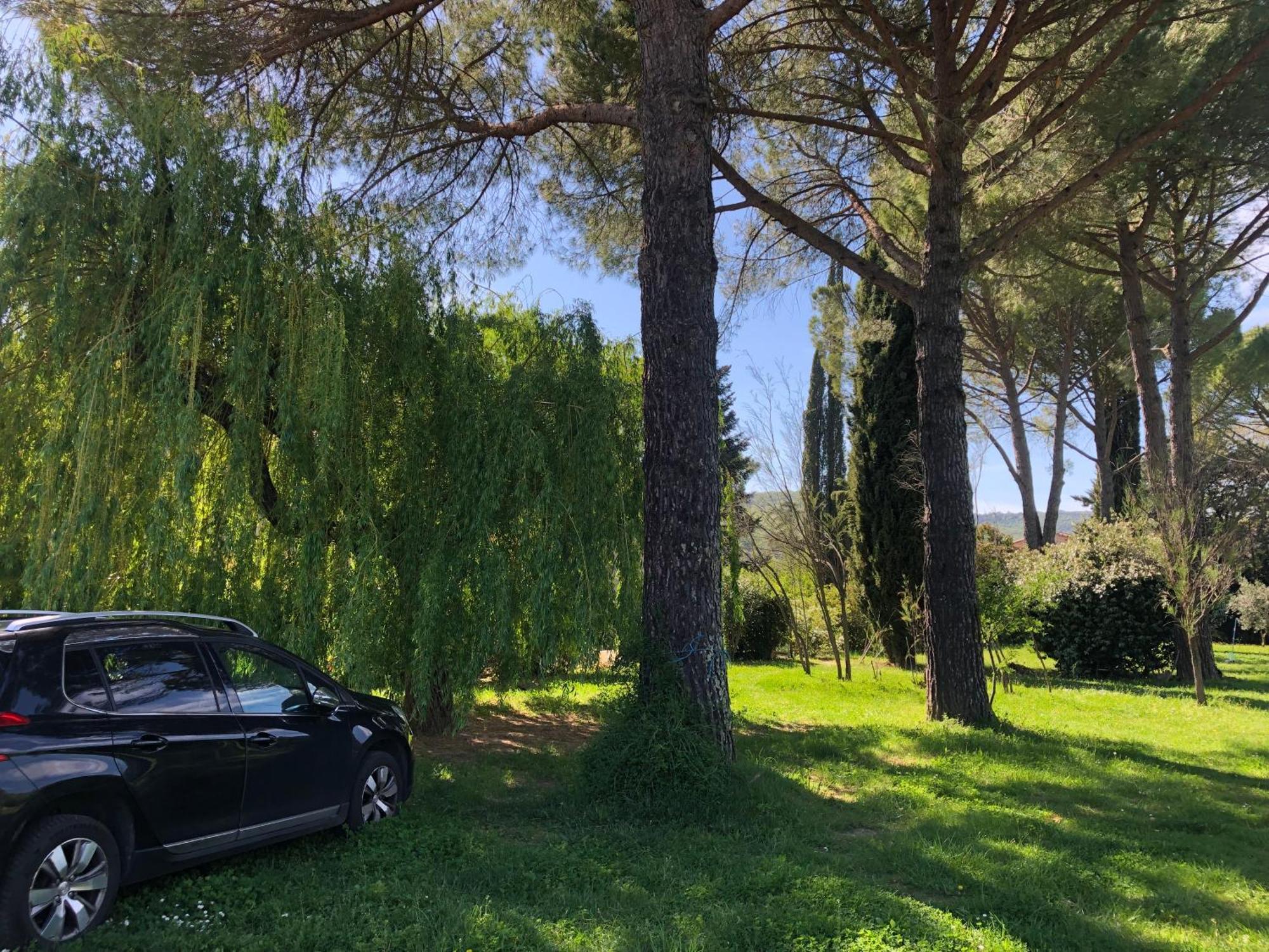 Gite Des Pins Saint-Maurice-dʼIbie 외부 사진