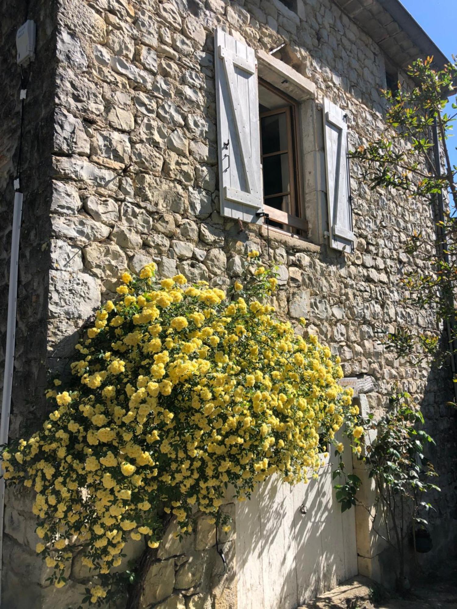 Gite Des Pins Saint-Maurice-dʼIbie 외부 사진